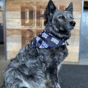 DRU BRU - Dog Bandana
