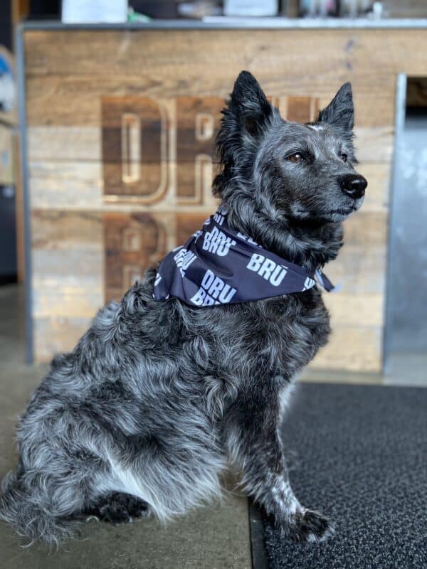 DRU BRU - Dog Bandana