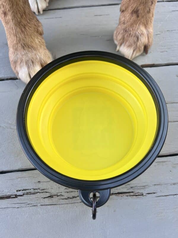 DRU BRU - Water Bowl - Image 2