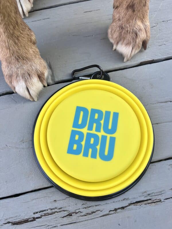 DRU BRU - Water Bowl