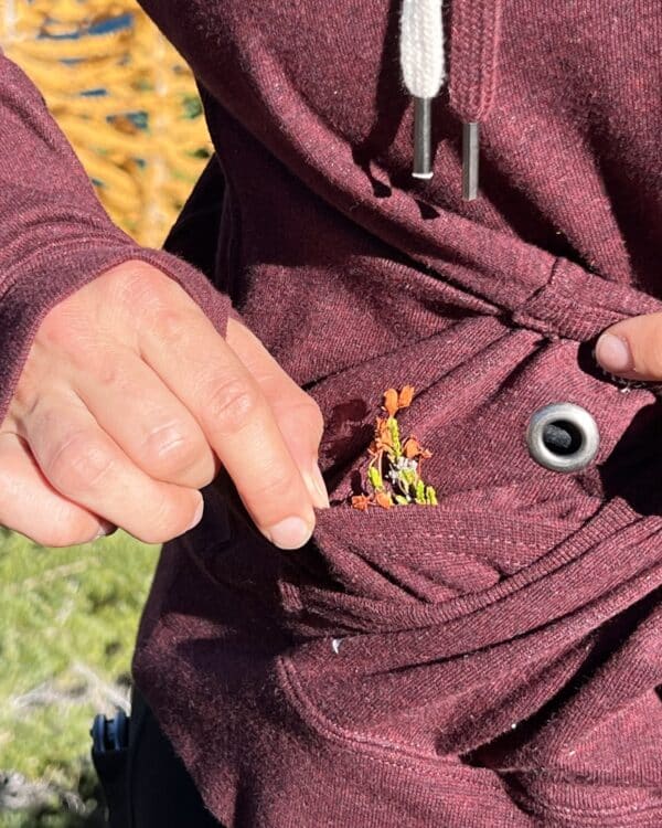 DRU BRU - Maroon Pullover Hoodie - Image 3