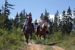Backcountry Horsemen WA