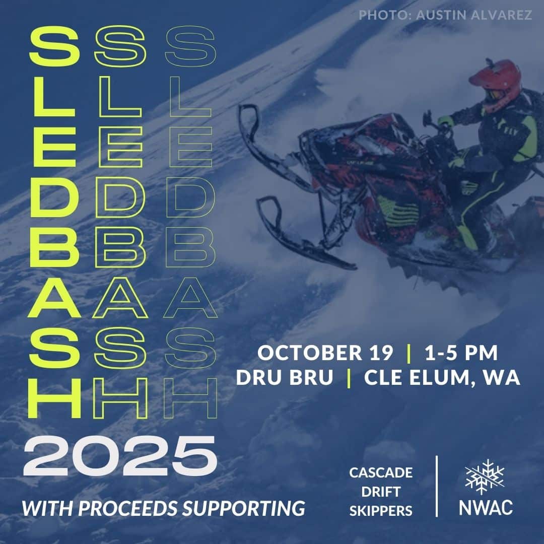 Sledbash!