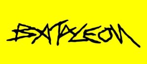 Bataleon Snowboards