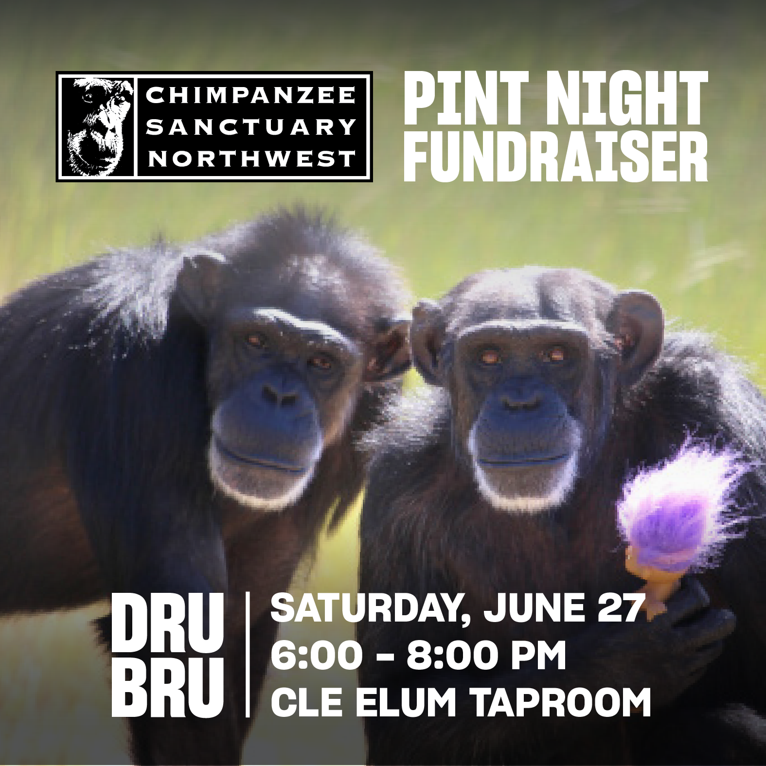 Pint Night Fundraiser for Chimpanzee Sanctuary Northwest