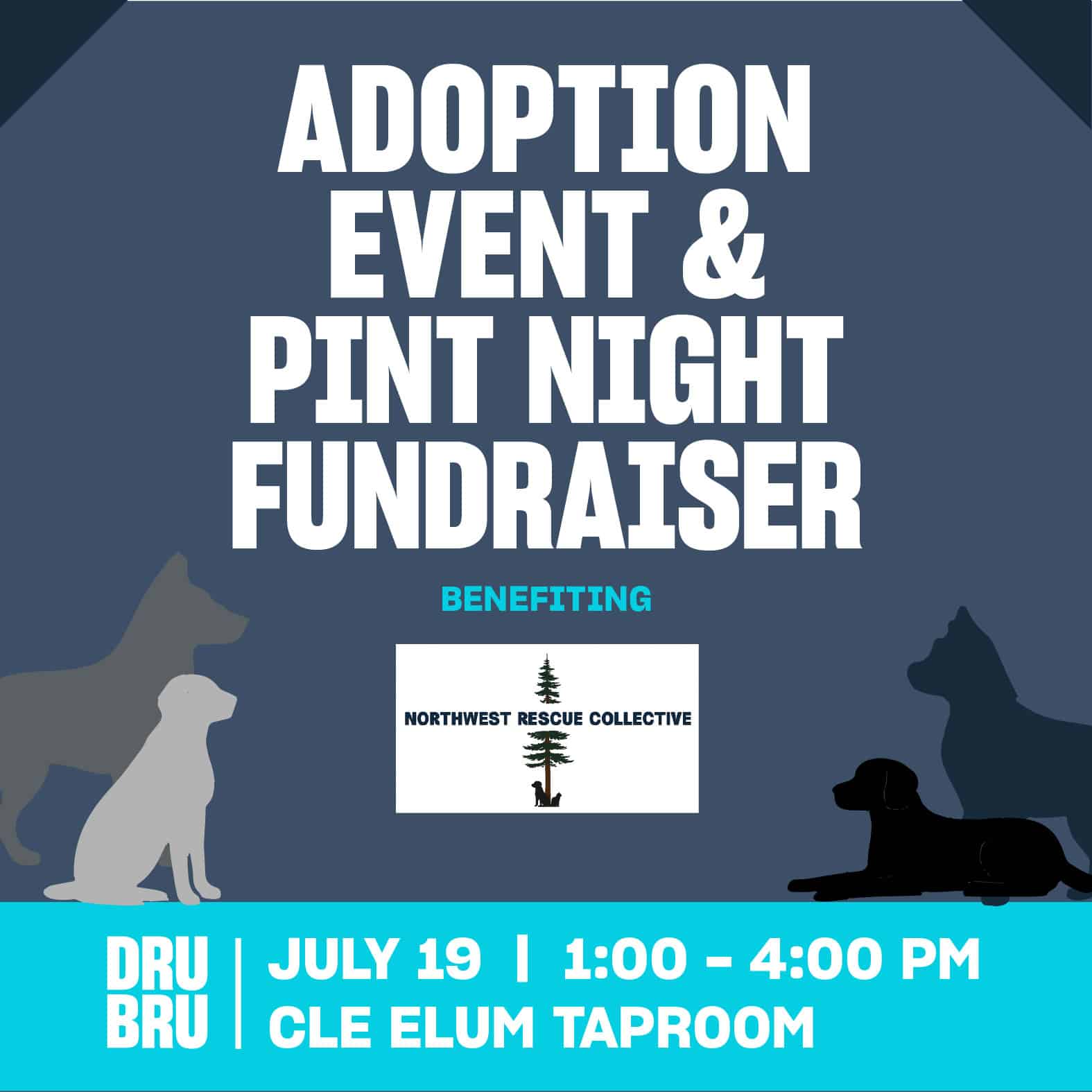 Adoption Event & Pint Night for NW Rescue Collective